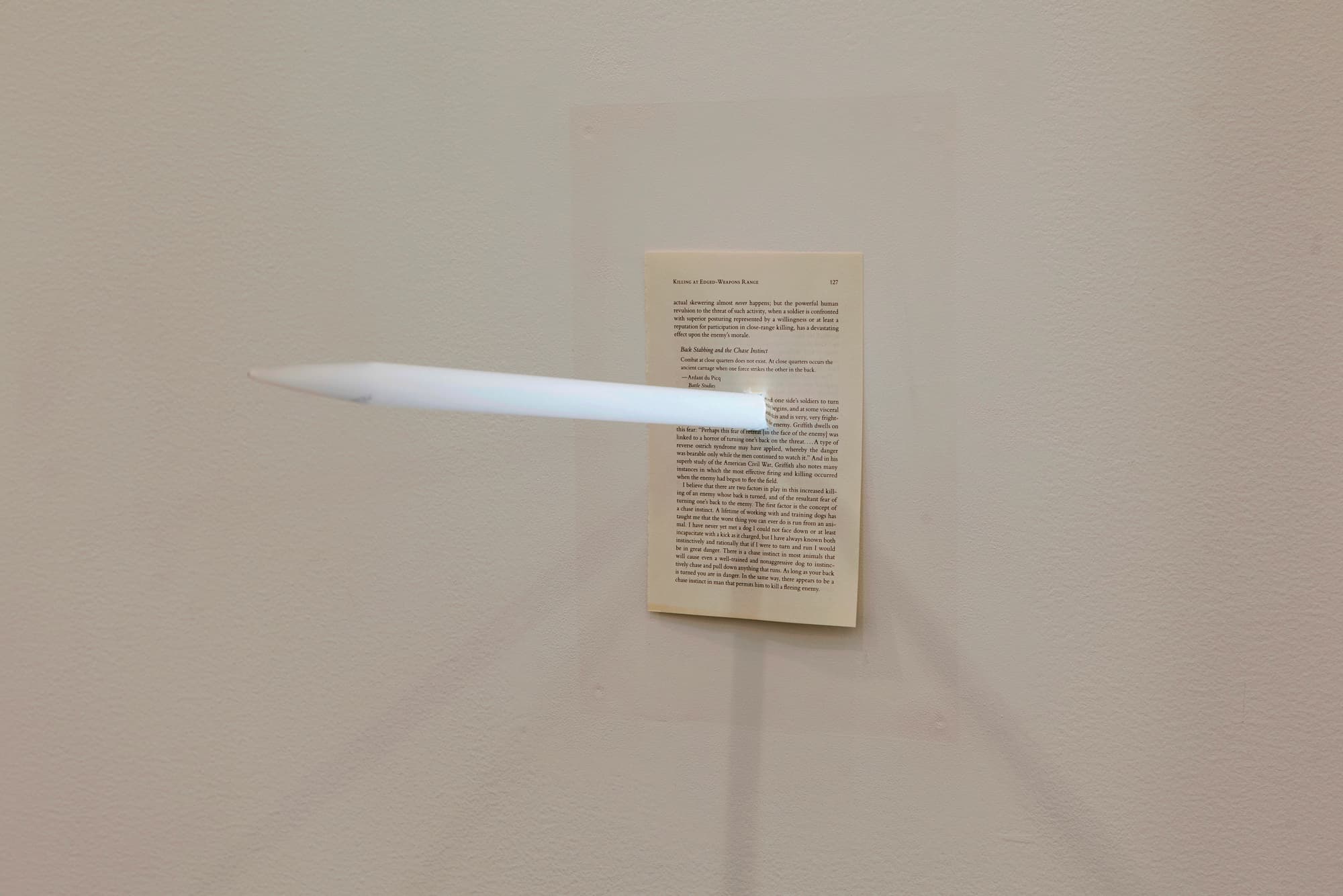 Backstabbing and The Chase Instinct, one-way neon, book page, transformer, 2013
