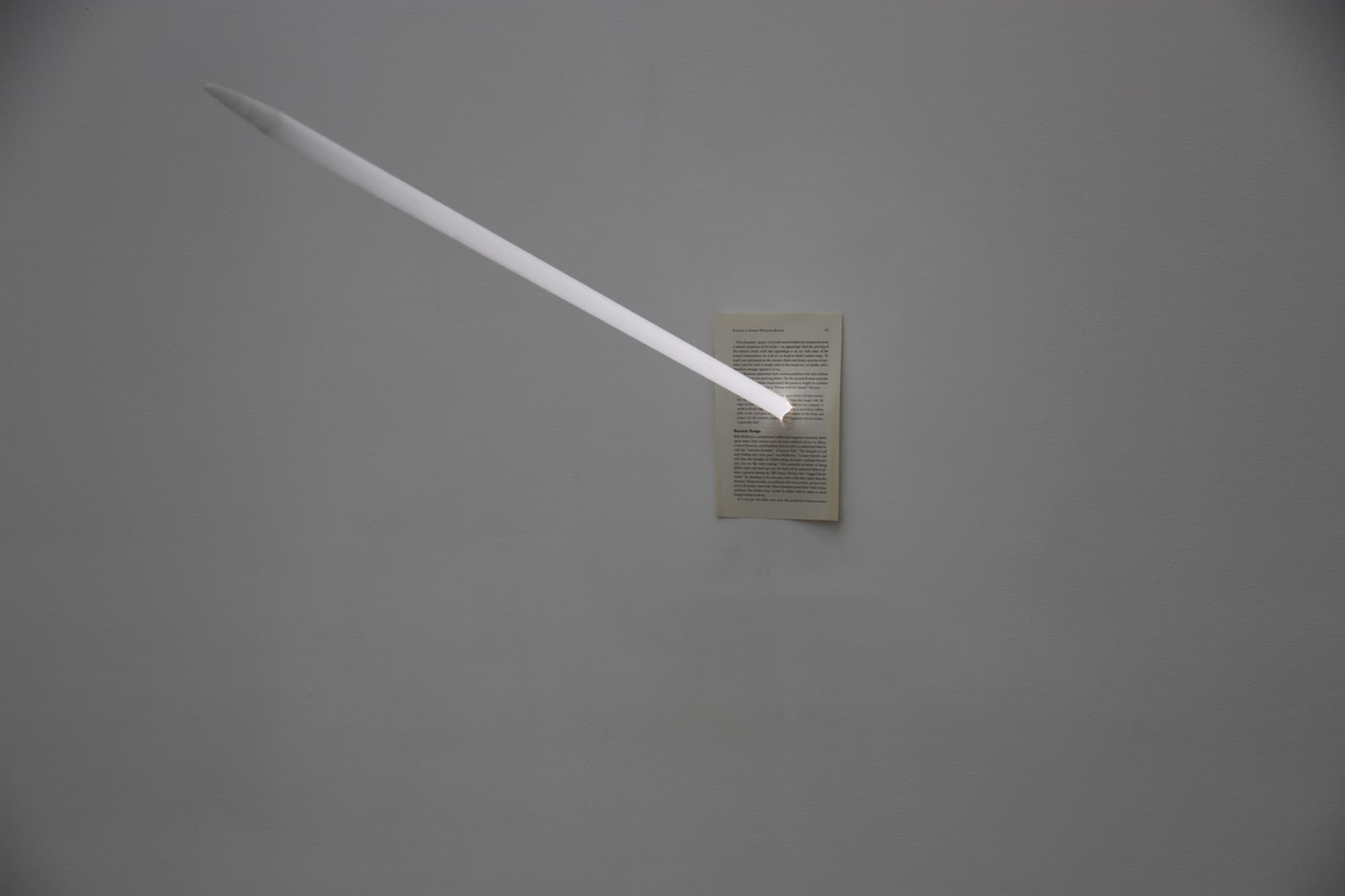 Bayonet Range, one-way neon, book page, transformer, 2013