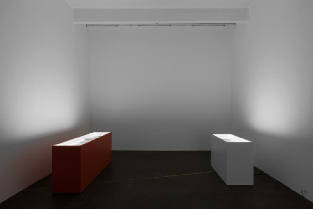 Installation view. Left: The Family Vitrine, 2016.
Vitrine, documents. 89 x 54.5 x 247 cm Right: The Artist Vitrine, 2016
. Vitrine, documents. 89 x 54.5 x 148.5 cm
