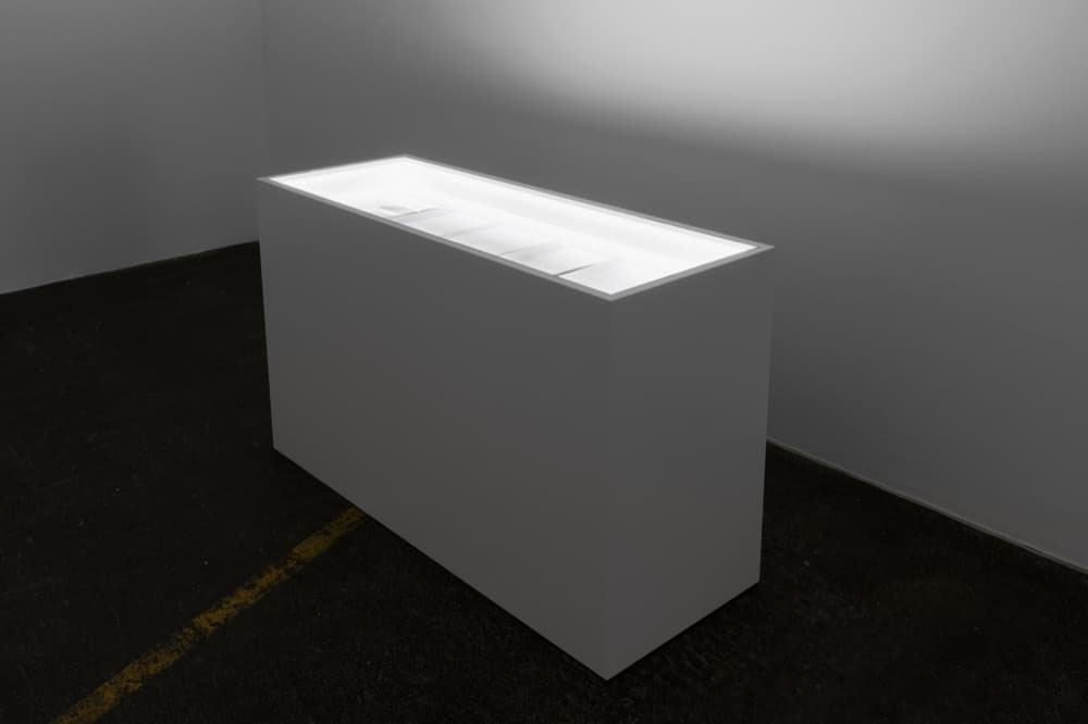 The Artist Vitrine, 2016
. Vitrine, documents. 89 x 54.5 x 148.5 cm